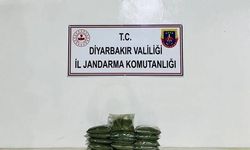 Diyarbakır'da Uyuşturucu Operasyonunda 21 Kilo Esrar Ele Geçirildi
