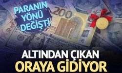 Dolar Güçleniyor: Altın ve Bitcoin Değer Kaybında