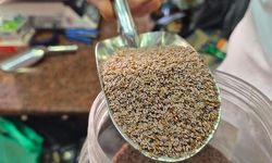 Eskişehir'de Karnıyarık Otu Tohumu Zayıflamada Destekçi Olarak Öne Çıkıyor