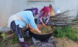 Giresun'da Geleneksel Dut Pekmezi Yapımı Başladı
