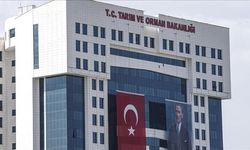 Gökçeada, Şap Hastalığından Aşılı Ari Bölge Statüsüne Kavuştu