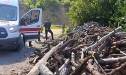 Gümüşhane'de Eşini Odunla Vurarak Öldüren Şüpheli Kaçtı