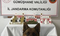 Gümüşhane'de Uyuşturucu Operasyonunda Çok Sayıda Madde Ele Geçirildi