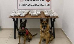 Hakkari Şemdinli'de 21,65 Kilogram Toz Esrar Yakalandı
