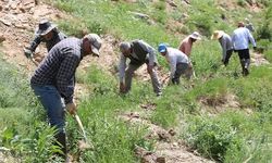 Hakkari'de Köylüler Sulama Kanalını Her Yıl İmeceyle Temizliyor