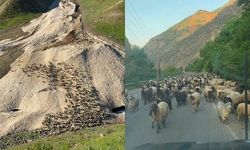 Hakkari'de Yayla Sezonu Yoğun Yağışlar Nedeniyle Gecikti