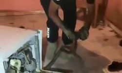 Hatay'da Bulaşık Makinesine Giren 2 Metrelik Karayılan İtfaiye Tarafından Kurtarıldı