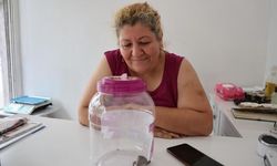 İş Yerinin Önünde Bulduğu Akrebi Bidon İçinde Beslemeye Başladı
