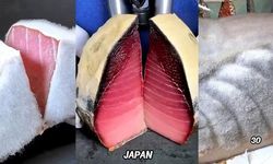 Japon Mutfağının Nadir Lezzeti: Küfle Olgunlaştırılmış Ton Balığı