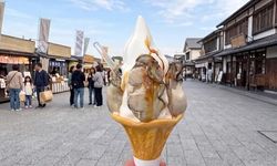 Japonya'da İstiridye Aromalı Yumuşak Dondurma İlgi Çekiyor