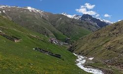 Kaçkar Dağı'nda Bahar ve Kış Bir Arada Yaşanıyor
