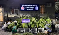 Kağıthane'de Uyuşturucu Operasyonu: 30 Milyon Liralık Hint Keneviri Ele Geçirildi
