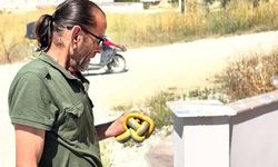 Kaynarca'da Yılanları Çıplak Elle Yakalayan Personel İlgi Odağı Oldu