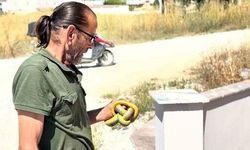 Kaynarca'da Yılanları Çıplak Ellerle Yakalayan Personel İlgi Odağı Oldu