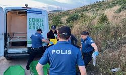 Kocaeli Gebze'de Ormanlık Alanda Erkek Cesedi Bulundu