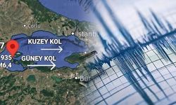 Marmara Denizi'nde 3.6 Büyüklüğünde Deprem: 1935'ten Beri Gizlenen Fay Harekete Geçti