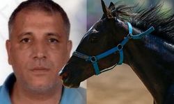 Memurun 13 yarış atı çıktı