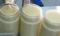 Mersin'de Arıların Zorlu Yolculuğundan Doğal Beyaz Bal Çıkıyor