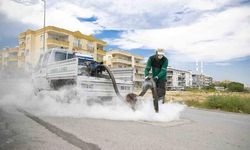 Mersin'de Haşereyle Mücadele Çalışmaları Hız Kazandı