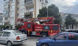 Mudanya'da Takılan Karga İtfaiye Ekiplerince Kurtarıldı, Diğer Kargalar Ekipleri Kuşattı