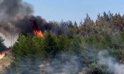 Muğla Seydikemer'de Zirai Yangın Ormana Sıçradı, Söndürme Çalışmaları Devam Ediyor