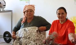 Muğla'da İpek Böcekçiliği Canlanıyor: Yaş Koza Hasadı Başladı