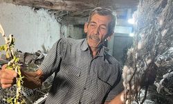 Nallıhan'da 60 Yıllık Gelir Kaynağı: İpek Böcekçiliği