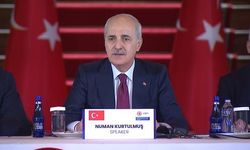 NATO Parlamenterleri İstanbul'da Toplandı: Kritik Barış Çağrıları Yapıldı