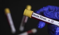 Nijerya, Ebola Riski Nedeniyle 10 Eyaleti Alarmda Tutuyor