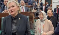 Nimet Özdemir, Üç Yılda Üçüncü Partisine Katıldı