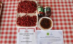 Ordu Dağ Çileği Reçeline Coğrafi İşaret Tescili