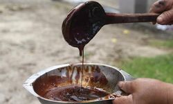 Ordu'da Geleneksel Dut Pekmezi Hazırlığı Başladı