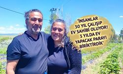 Pandemi Sonrası Köyde Organik Çilek Üretimiyle Başarıya Ulaştılar