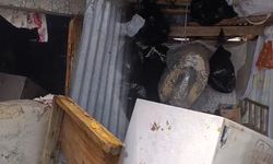 Rize Kaçkar Koçdüzü Yaylası'nda Ayı 20 Evi Soydu