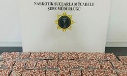 Samsun'da 5 İlçede Uyuşturucu Operasyonu: 10 Kişi Gözaltında