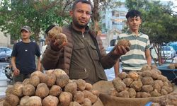 Şanlıurfa'nın Nadir Lezzeti: Keme Mantarı ve Keme Kebabı
