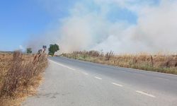 Silivri'de Tarlada Çıkan Yangın Yerleşim Alanlarını Tehdit Ediyor