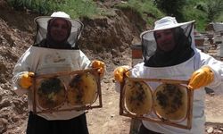 Tatvanlı Gelin ve Görümce Arıcılıkta Başarıya Ulaştı