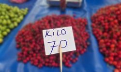 Tekirdağ Kiraz Fiyatlarında Düşüş: Festivalde 300 TL Olan Kiraz 70 TL'ye Geriledi