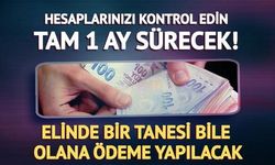 Temmuz 2026'da 16 Şirket Temettü Ödemesi Yapacak
