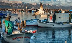 Trabzon'da Türkiye Kültür Yolu Festivali Başladı