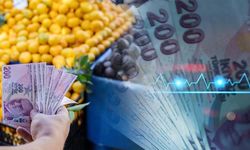 TÜİK Mayıs Ayı Enflasyon Oranlarını Açıkladı