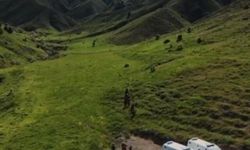 Tunceli'de Mantar Toplayan 3 Kişiye Ayı Saldırısı: Yaralılar Hastaneye Sevk Edildi