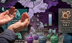 Türkiye'nin 2025 Ölüm İstatistikleri: İllere Göre Ölüm Nedenleri ve Oranları