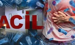Yaz Sıcakları Besin Zehirlenmelerini Artırıyor: Uzmanlardan Uyarı