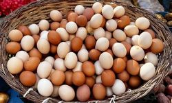 Yumurtada Üretici ve Market Fiyatları Arasındaki Fark Gündemde