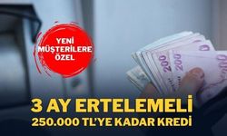 3 Ay Ertelemeli 250 Bin TL'ye Kadar İhtiyaç Kredisi Fırsatı