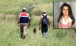 Ağrı'da 3 Yaşındaki Leyla'nın Ölümü: Amcasının Cani Planı ve Mahkeme Gerekçesi