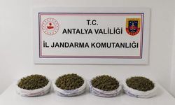 Alanya'da Evde Yapılan Operasyonda 1,979 Kilogram Kubar Esrar Ele Geçirildi