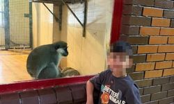 Alanya'da Havuzda Boğulma Tehlikesi Geçiren 4 Yaşındaki Çocuk Hayatını Kaybetti